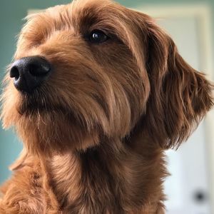 Meet your Posher, Kimber sanders